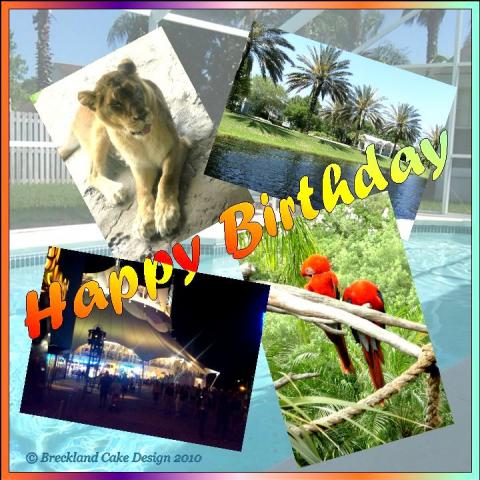 Holiday_Collage.jpg