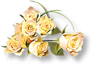 Rose2.jpg