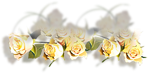 Rose6.jpg