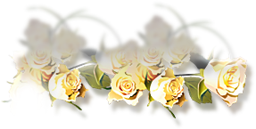 Rose7.jpg