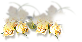 Rose8.jpg