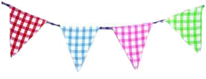 bunting.png